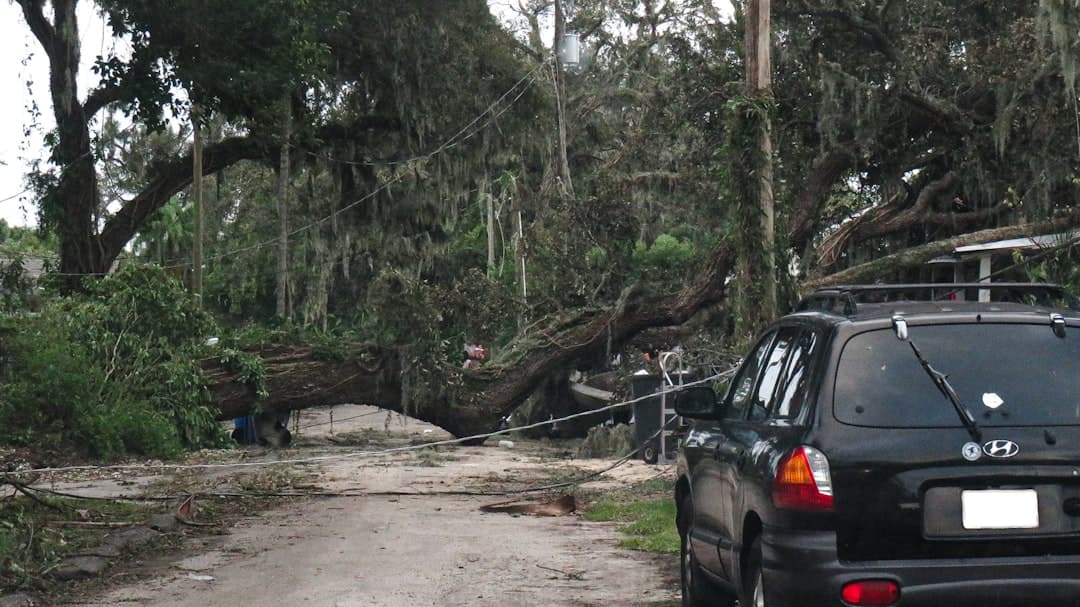 How Hurricanes Helene and Milton Impacted Apollo Beach - A Real Estate Perspective
