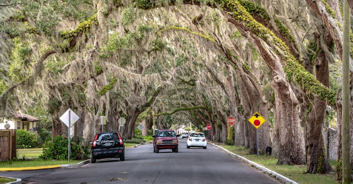 Luxury Living in Fort Meade: What Your Money Gets You