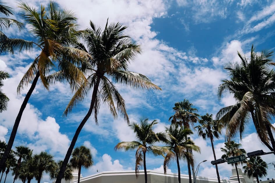 Luxury Living in Safety Harbor: What Your Money Gets You