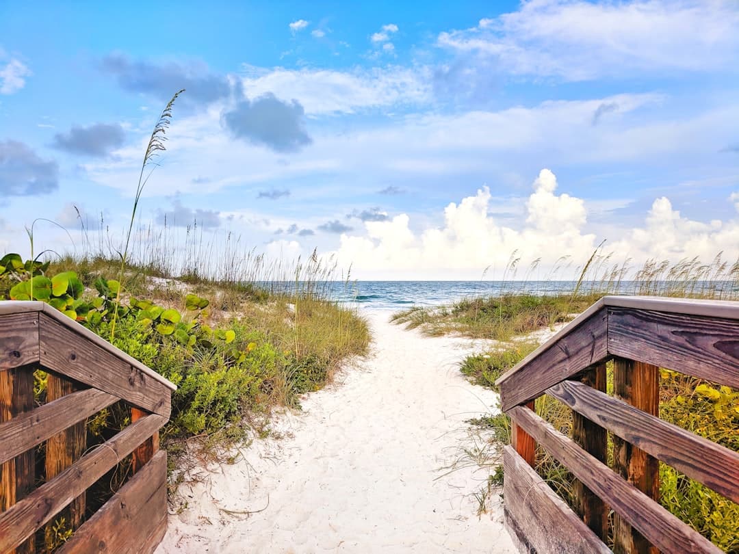 MiraBay in Apollo Beach FL - The Premier Waterfront Community Guide