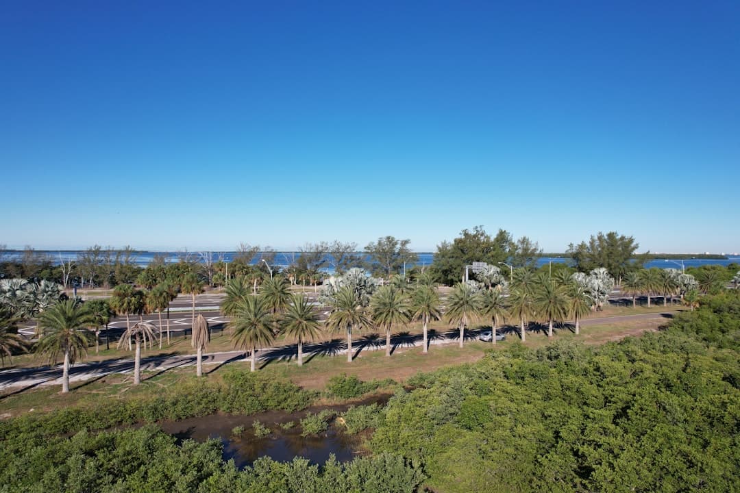 New Construction Homes in Tampa Bay - A Complete Buyer's Guide