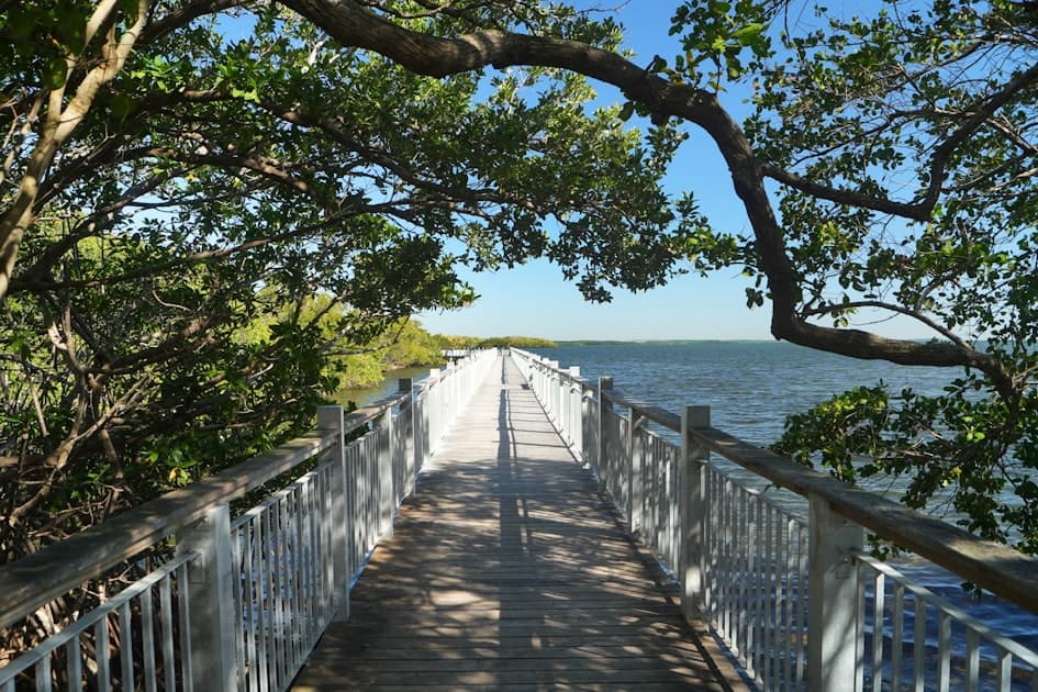 Things to Do in Largo FL: A Local's Guide (2026)