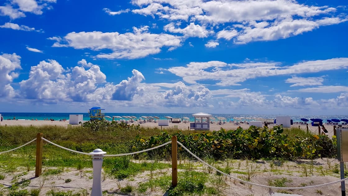 Waterfront Homes in St Petersburg: Pricing, Flood Zones, and Tips