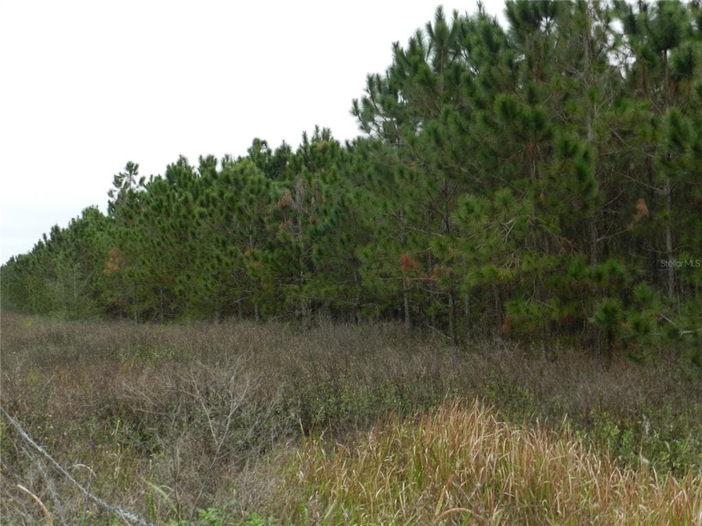 TOWNSEND ROAD