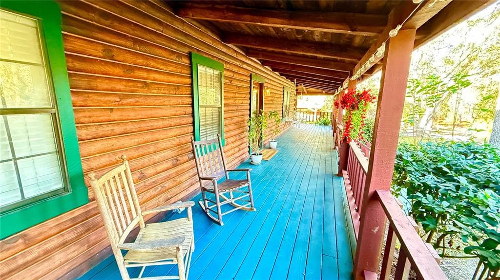 34256 BELT DRIVE