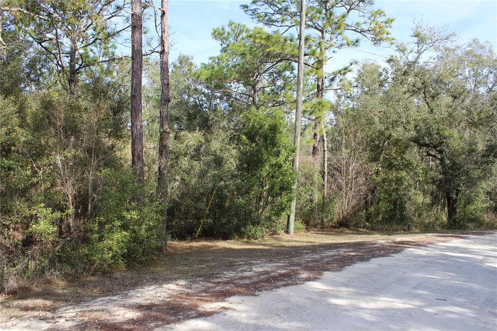34273 BELT DRIVE