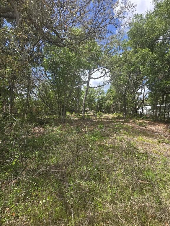 8140 WALT WILLIAMS ROAD