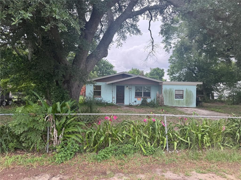 231 WILLOW STREET