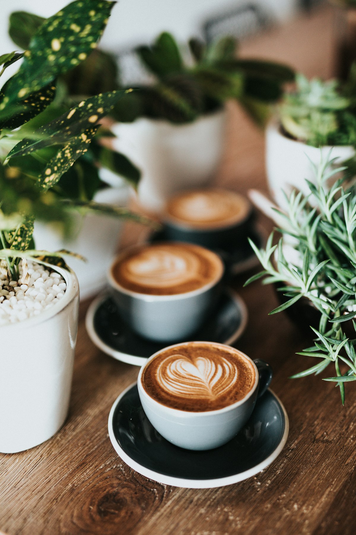 Best Coffee Shops in Brandon FL  -  A Local's Guide