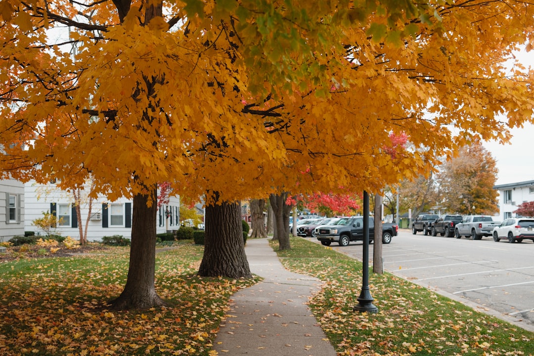 Best Neighborhoods in Crystal Beach, FL