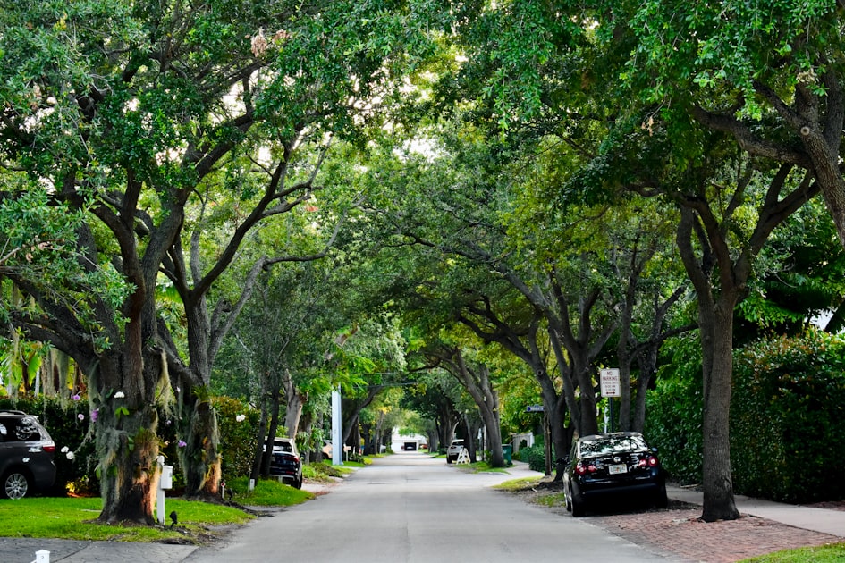 Best Neighborhoods in Largo FL: 10 Areas Buyers Love in 2026