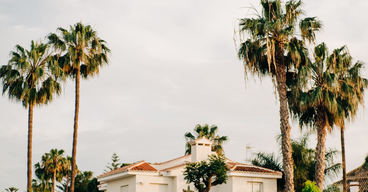 Best Neighborhoods in Oldsmar: Where to Live in 2026