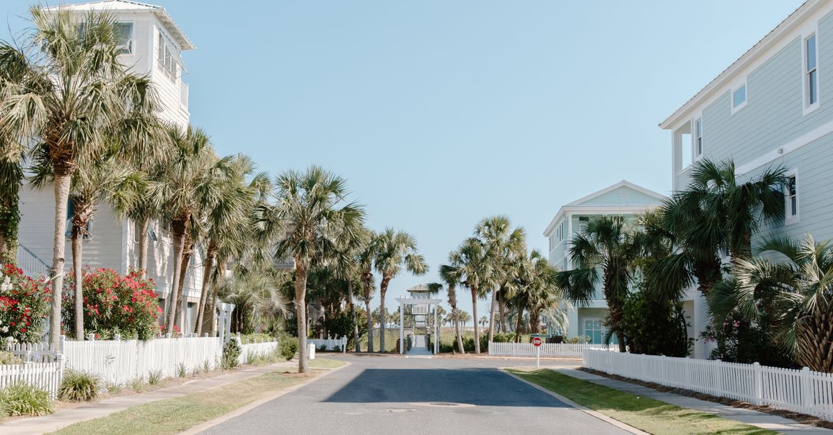 Best Neighborhoods Palmetto