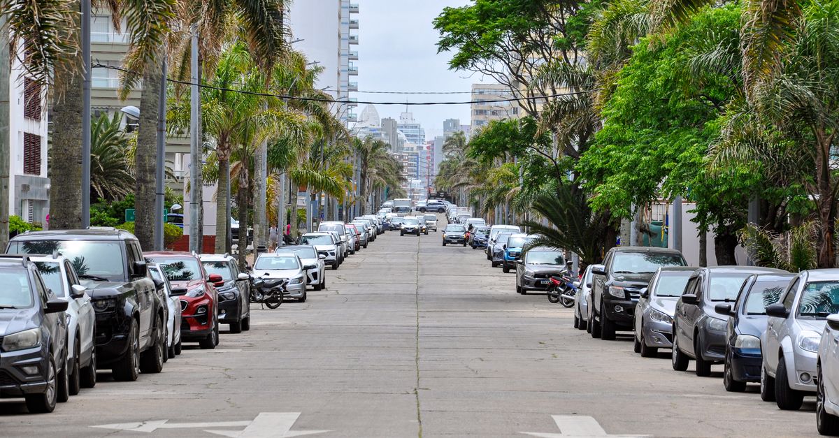 Best Neighborhoods Polk City