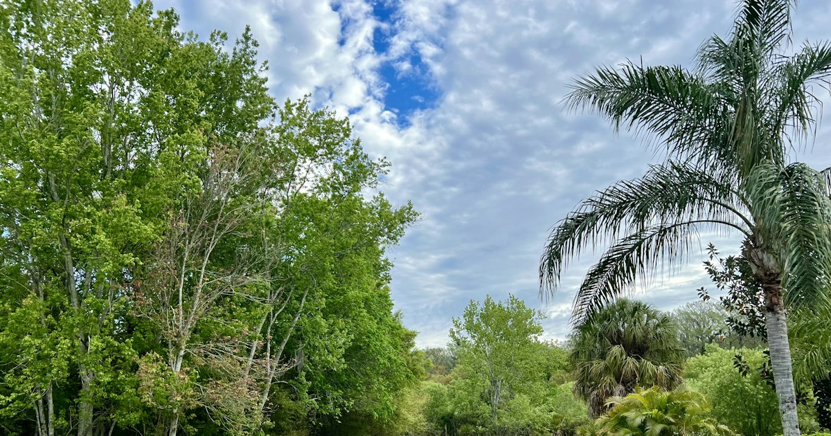 Bradenton Homes Under $400K: Manatee County Value in 2026