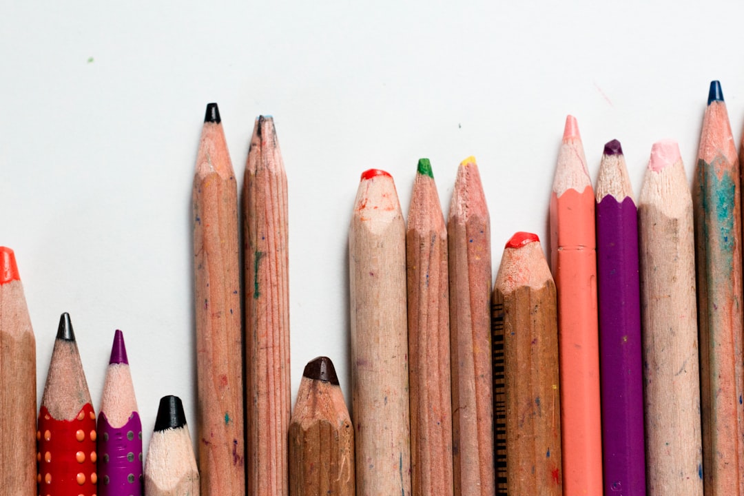 Daycares and Preschools in Brandon FL: Best Options for Young Families
