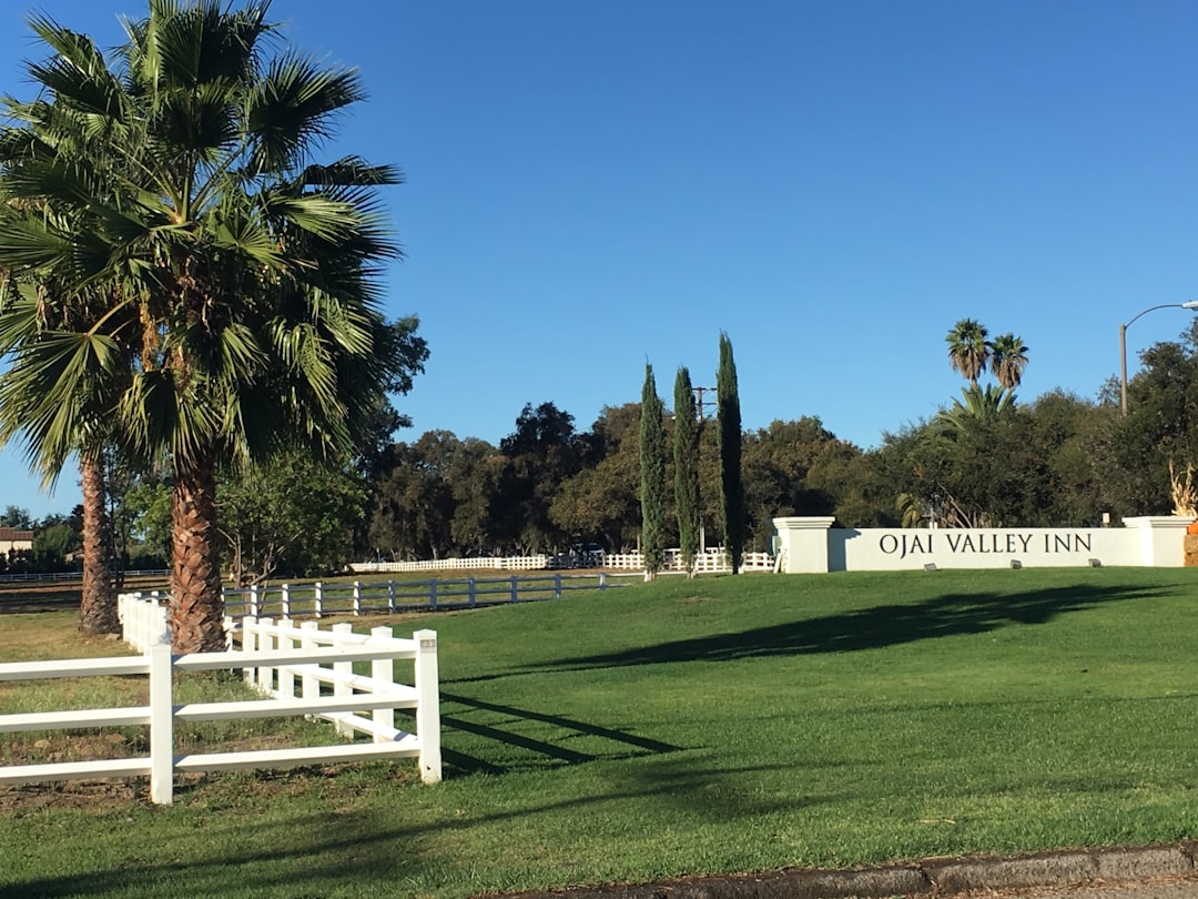 HOA Communities in Brandon FL: Fees, Rules, and Top Neighborhoods