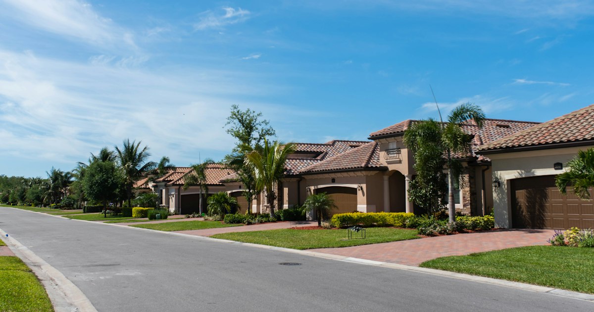 Pet-Friendly Brandon FL: Dog Parks, Vets, Pet Stores, and More