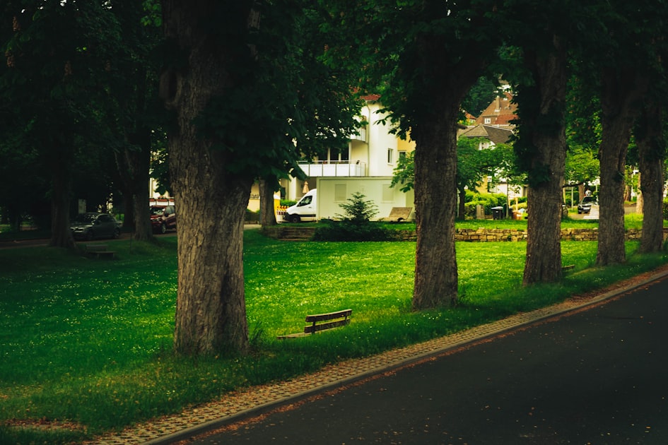 Your Complete Guide to Buying a Home in Sun City Center, FL