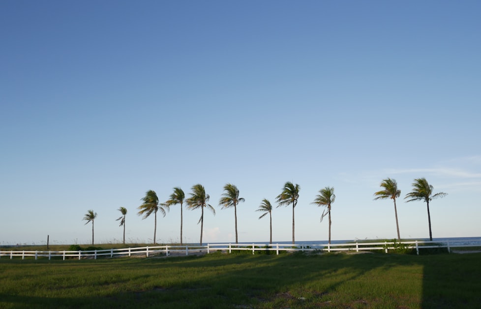 Carrollwood housing market