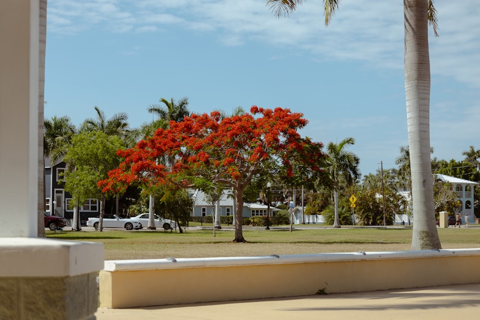 Cost of Living in Largo FL: What to Expect in 2026