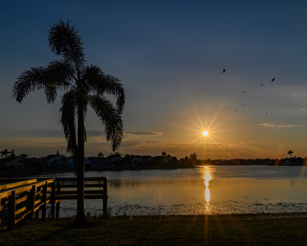 Waterfront Homes in Crystal River FL: Buyer Guide