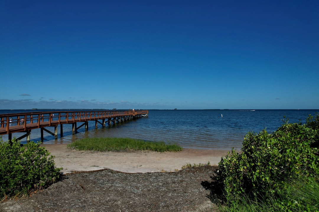Waterfront Homes in Floral City FL