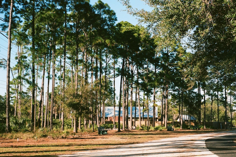 The Complete Guide to Living in New Port Richey, FL