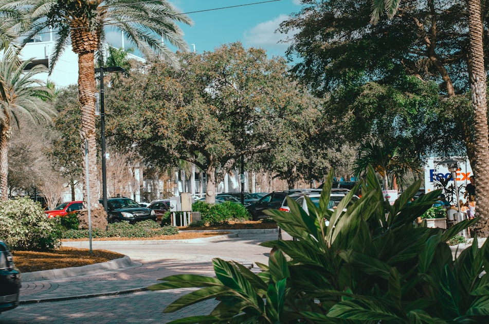 The Complete Guide to Living in Oldsmar, FL