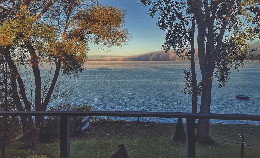 The Complete Guide to Living in Wesley Chapel, FL