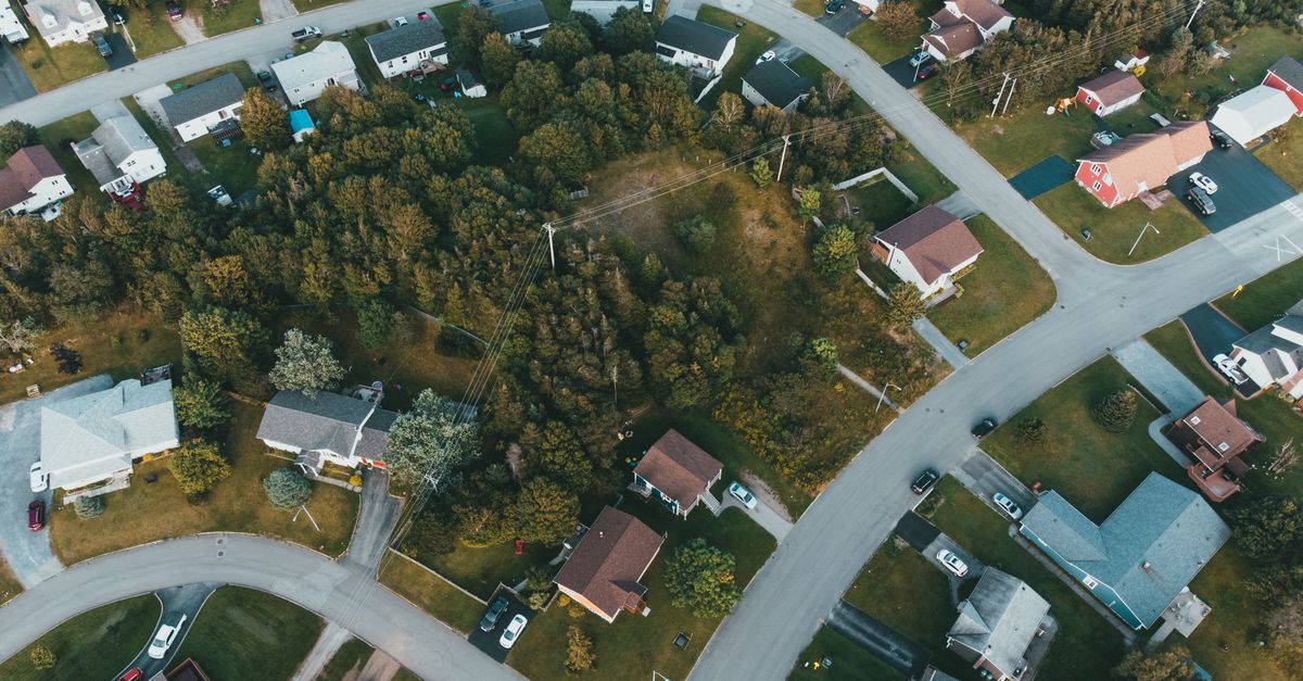 History of Carrollwood FL  -  From Citrus Groves to Tampa's Most Sought-After Suburb
