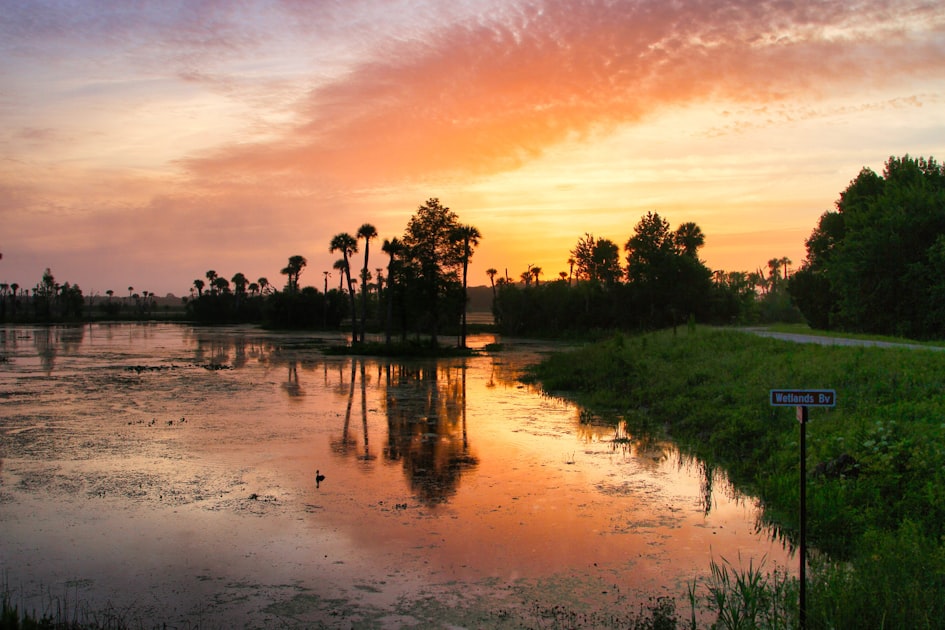 Is Largo FL a Good Place to Live? What Buyers Should Know in 2026