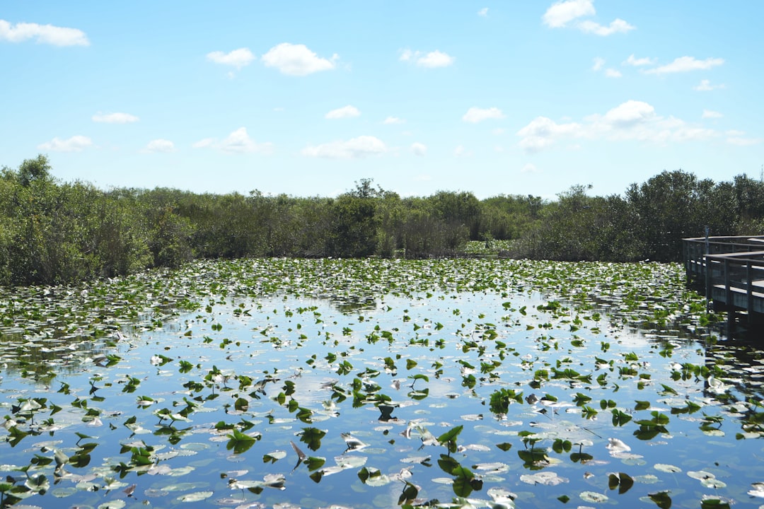 Lecanto FL Flood Zones Guide