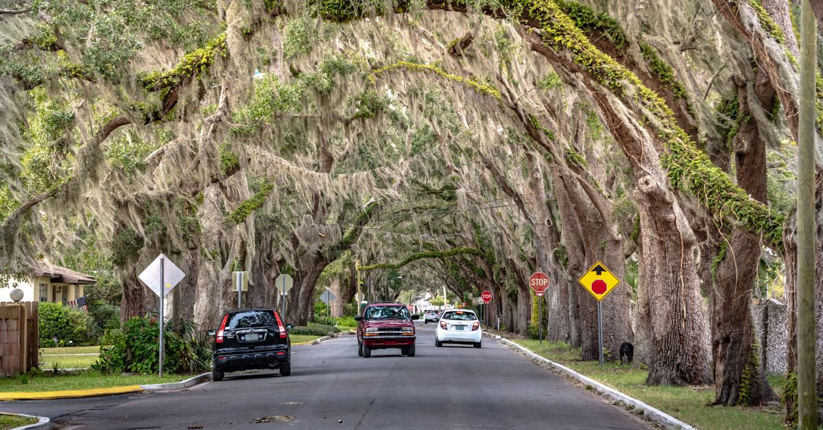 Luxury Living in Fort Meade: What Your Money Gets You