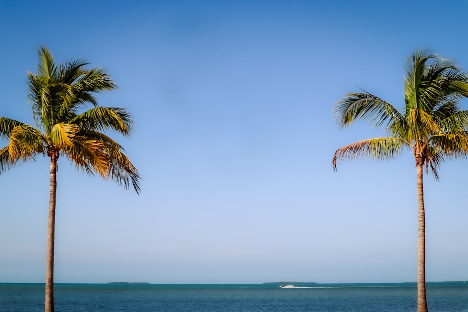 Luxury Living in Wimauma: What Your Money Gets You
