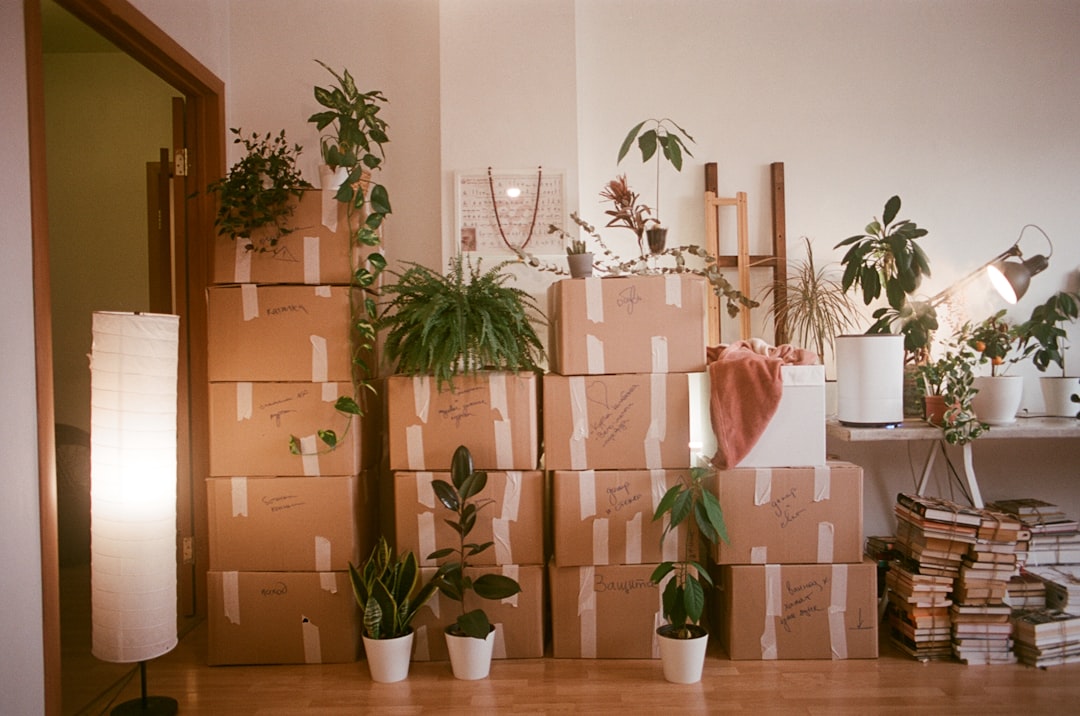 Moving to Brandon FL from Out of State: Relocation Guide