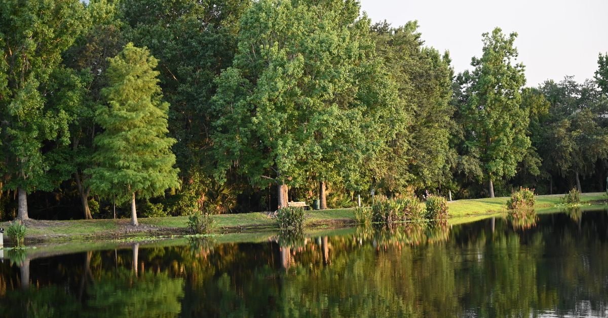 New Construction Homes in Mulberry: Builders, Communities, and What to Know