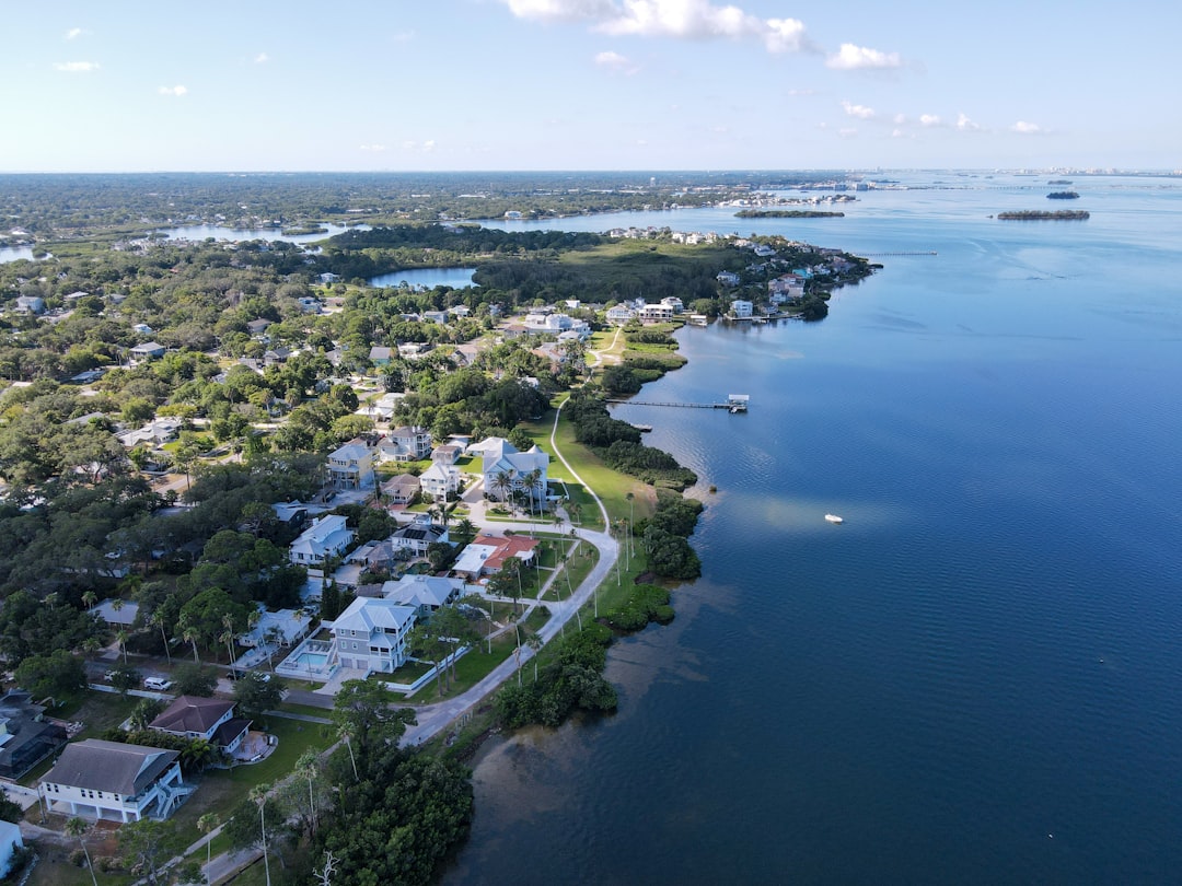 New Tampa FL Community Guide - Schools, Homes, and Lifestyle