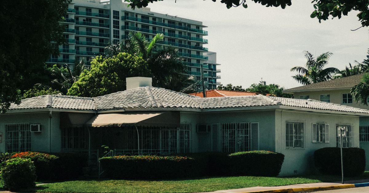 Pest Control for Florida Homeowners  -  What Every Buyer Should Know