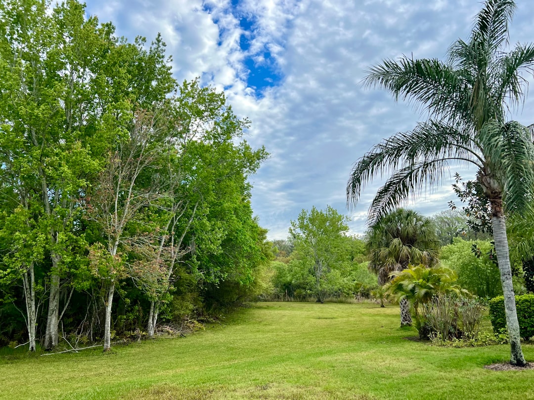 Plant City FL Parks & Recreation: Complete Guide to Outdoor Fun