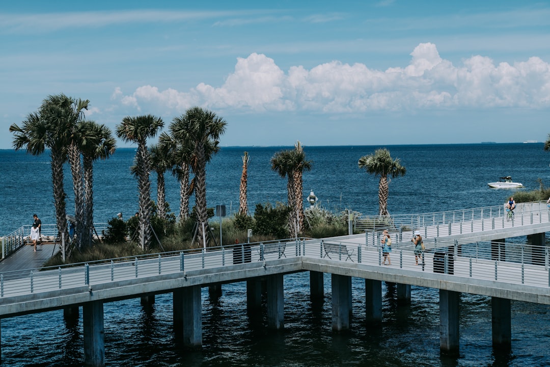 Waterfront Homes in Polk City FL