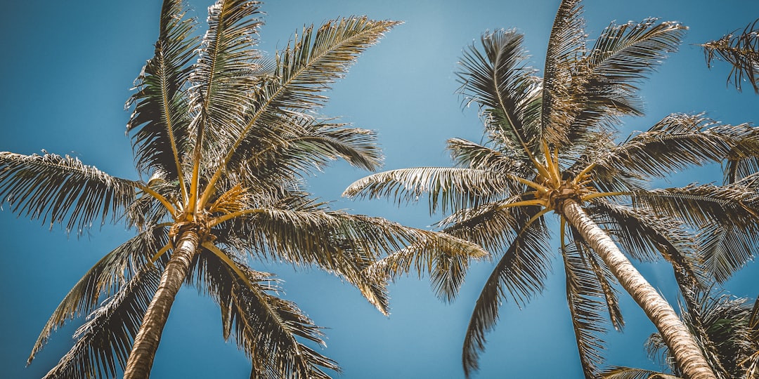 Pros and Cons of Living in Florida - An Honest Assessment