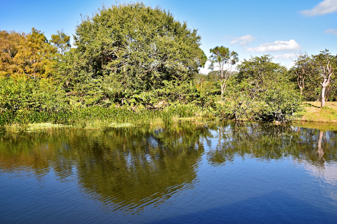 Golf Courses Near Riverview FL: Public, Private & Community Courses