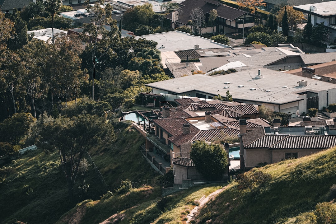 San Antonio FL Real Estate: Buyer and Seller Guide