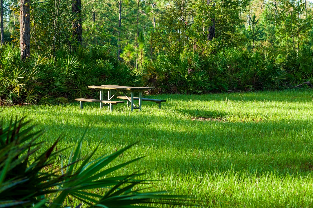 Things to Do in East Lake FL