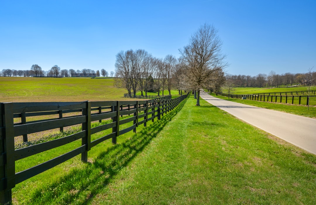 Thonotosassa FL Horse Properties: Equestrian Homes Near Tampa Bay