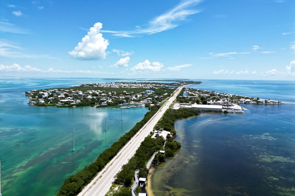 The Ultimate Tampa Bay Relocation Guide (2026)