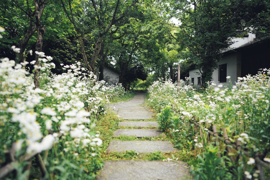 Waterfront Homes in Seffner: Pricing, Flood Zones, and Tips