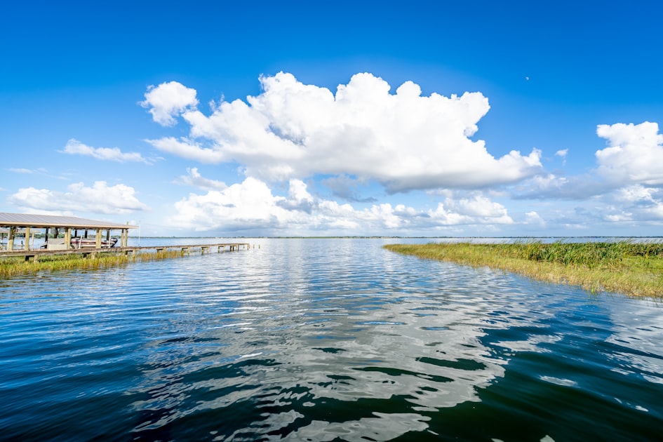 Waterfront Homes in Trinity: Pricing, Flood Zones, and Tips