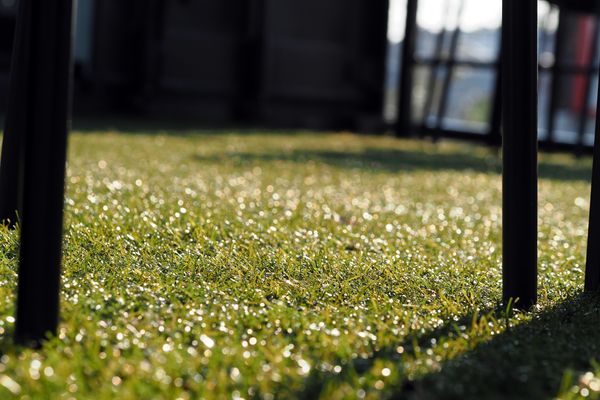 Golf course